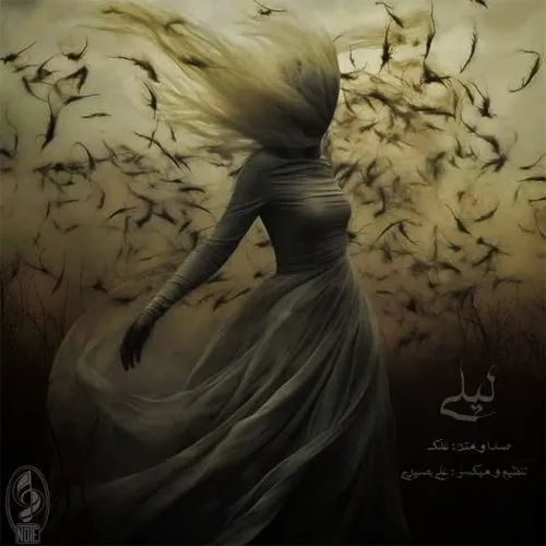 دانلود آهنگ علک به نام لیلی
