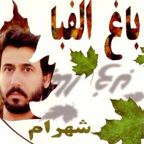 دانلود آهنگ کبوتر قشنگ پر غرورم پرنده سپید