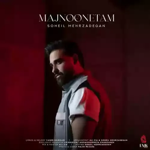 دانلود آهنگ سهیل مهرزادگان به نام مجنونتم