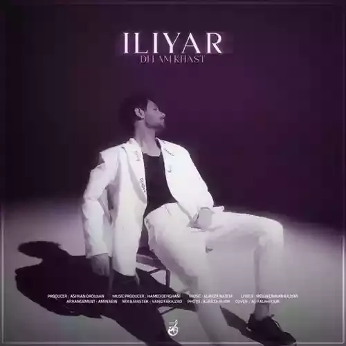 دانلود آهنگ ایلیا به نام دلم خواست
