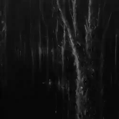 دانلود آهنگ تس به نام زایش