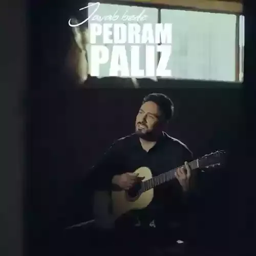دانلود آهنگ پدرام پالیز به نام جواب بده
