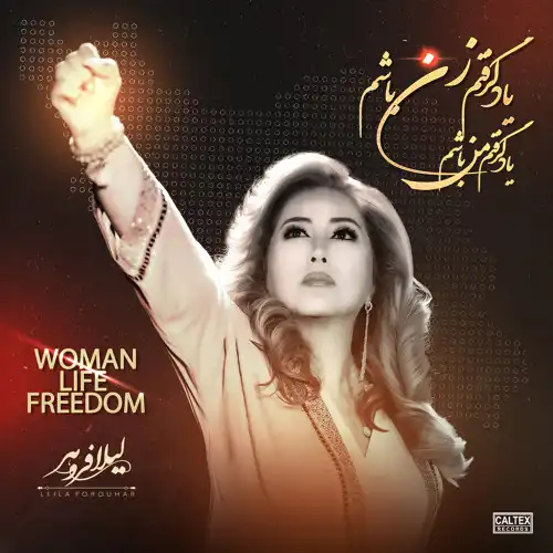 دانلود آهنگ این همه خوندنم نیست تموم موندنم نیست لیلا فروهر