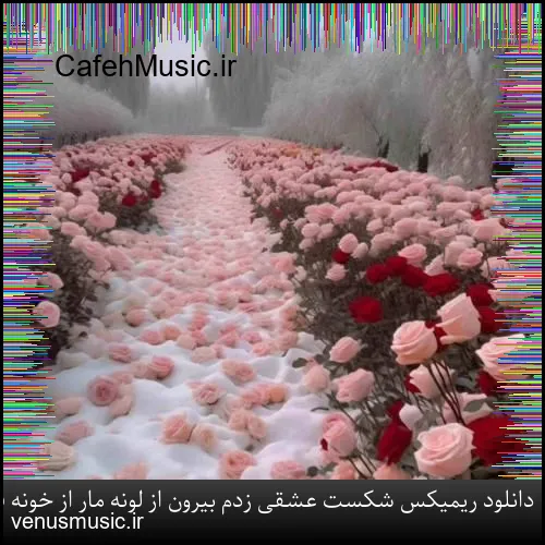 دانلود ریمیکس شکست عشقی زدم بیرون از لونه مار از خونه فقر و دروغ و شعار