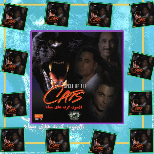 دانلود آهنگ بذار نگات کنم باز این آخرین دیداره خداحافظ عزیزم