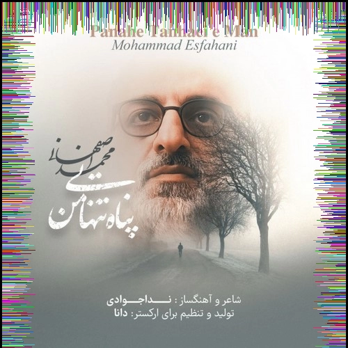 دانلود آهنگ پناه تنهایی من شانه امن اشک من محمد اصفهانی
