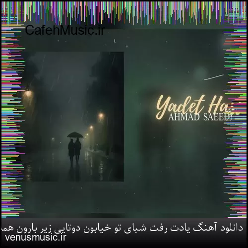 دانلود آهنگ یادت رفت شبای تو خیابون دوتایی زیر بارون همه خاطره هامون