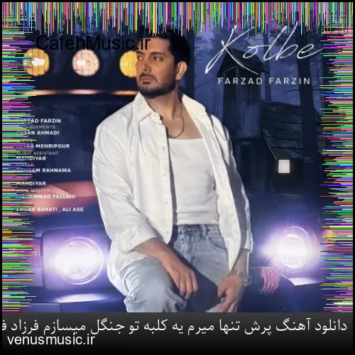 دانلود آهنگ پرش تنها میرم یه کلبه تو جنگل میسازم فرزاد فرزین