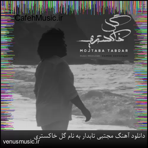 دانلود آهنگ مجتبی تابدار به نام گل خاکستری