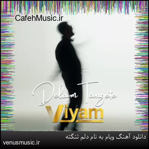 دانلود آهنگ ویام به نام دلم تنگته