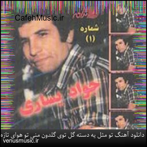 دانلود آهنگ چی سرت آوردن دله دیوونه بسه گریه نکن آخه بی اقبال