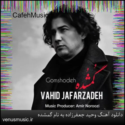 دانلود آهنگ وحید جعفرزاده به نام گمشده